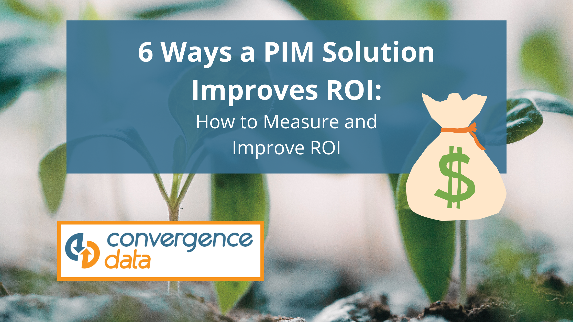6 Ways a PIM Solution Improves ROI